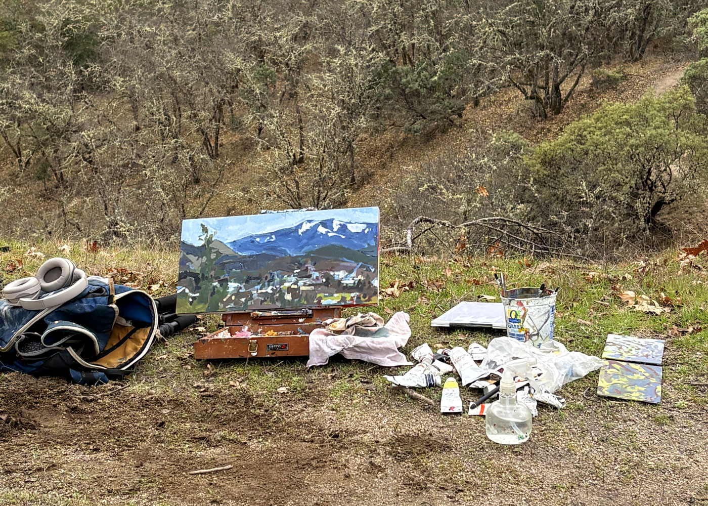 colton summers plein air setup