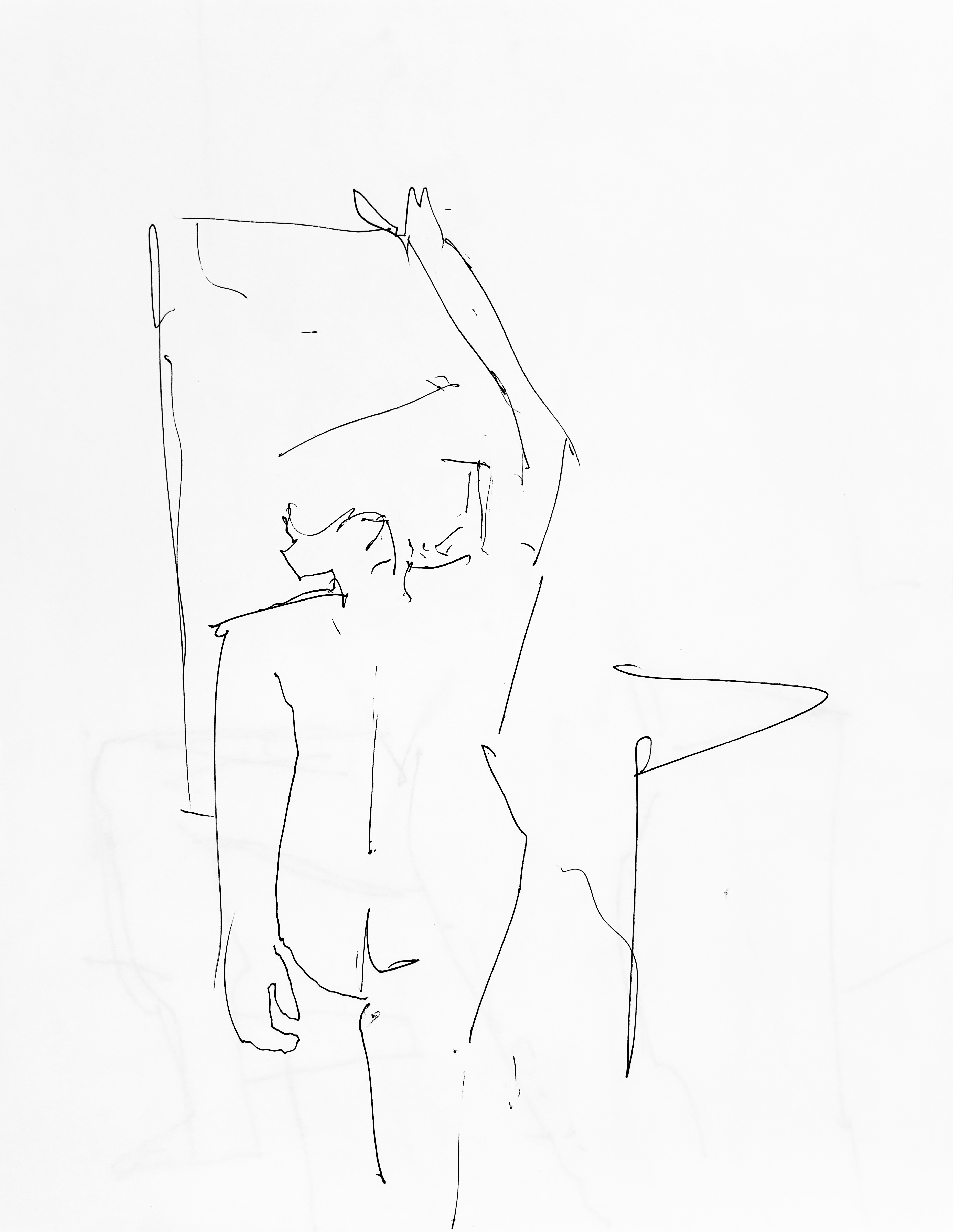 Bisected Nude